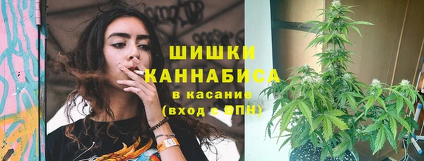спиды Алзамай