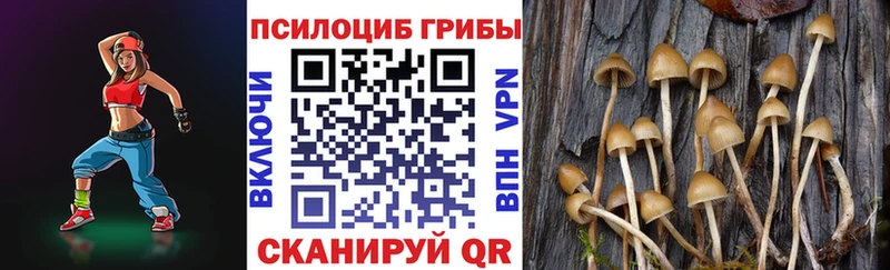 как найти закладки  Олонец  Галлюциногенные грибы ЛСД 