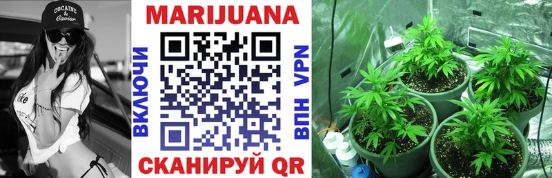 Бошки марихуана Bruce Banner  kraken как войти  Олонец  где купить  